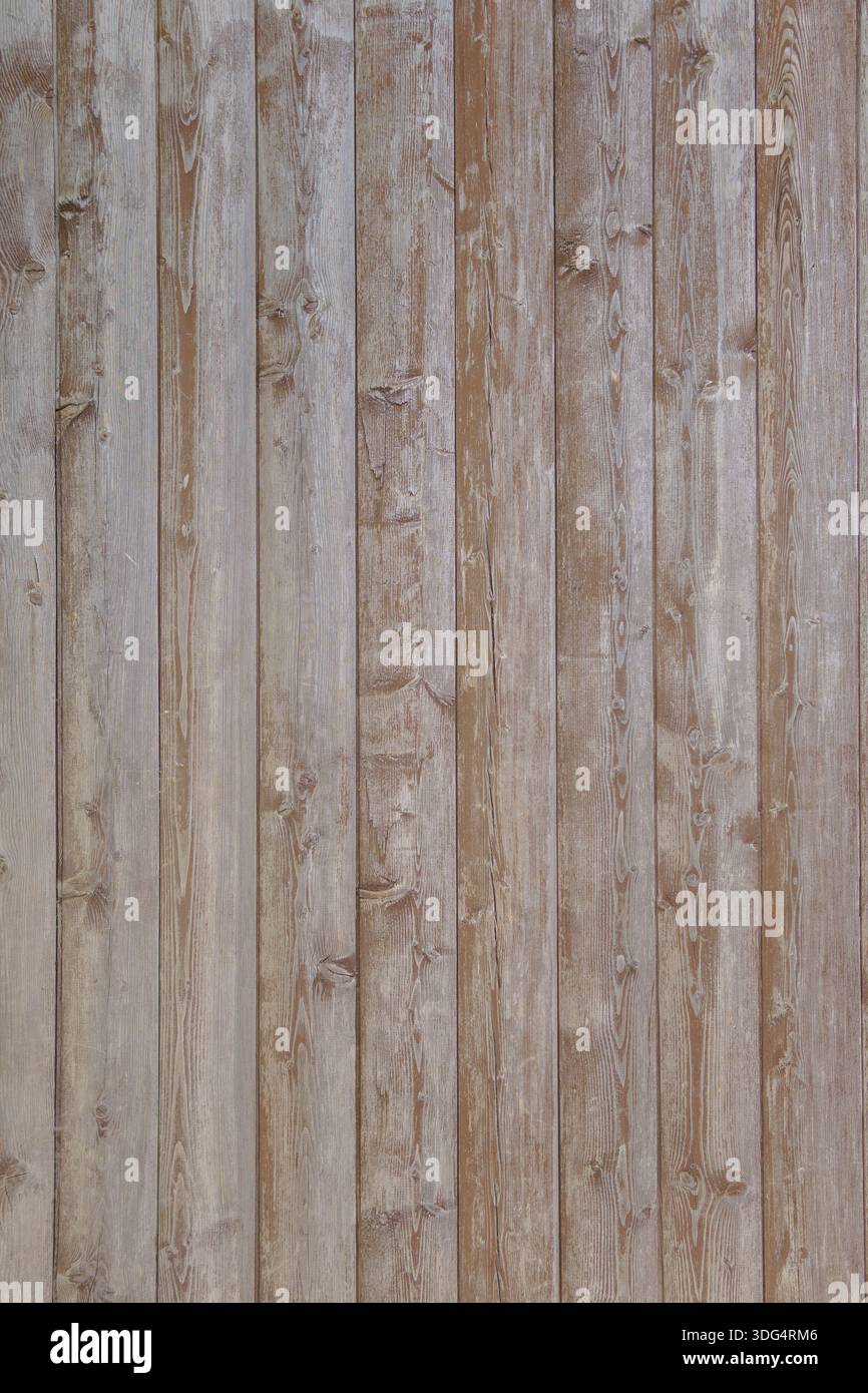 Vertikaler Zaun aus beigefarbenen Holzplatten. Holzbretter im Vintage-Stil. Stockfoto