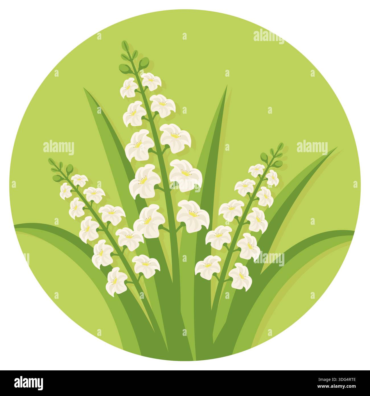 Lilie des Tales Blumen im grünen Kreis Rahmen Frühling botanische runde Icon flach Vektor. Stock Vektor