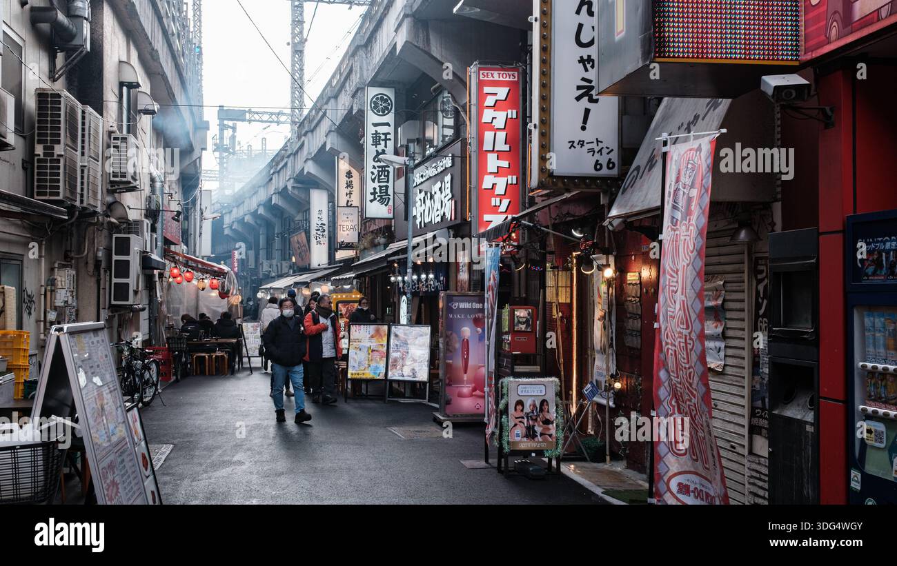 Fußgänger spazieren durch Ameya-Yokocho (Ameyoko) im Ueno-Viertel von Tokio, Japan, während der Nachmittagsstunden vor den abendlichen Trinkmengen A Stockfoto