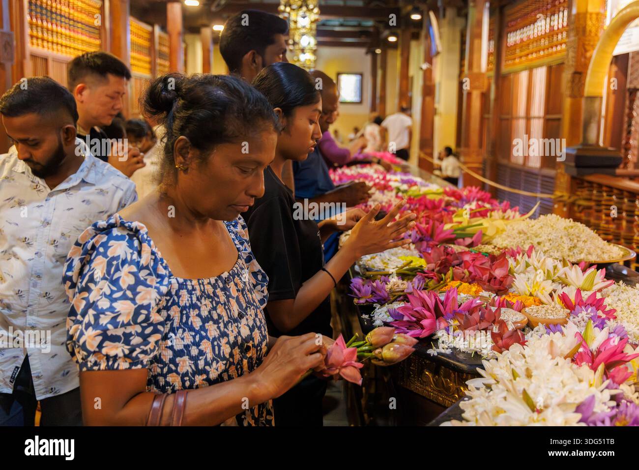 Pilger beten mit Lotusblumen im Tempel des Heiligen Zahns (Sri Dalada Maligawa), Kandy, Sri Lanka Stockfoto