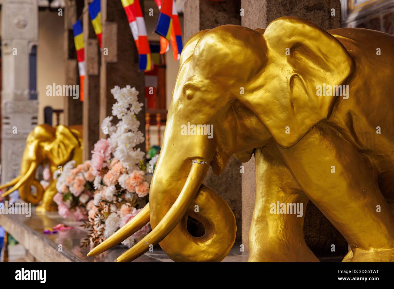 Goldene Elefantenstatue im Tempel des Heiligen Zahns (Sri Dalada Maligawa), Kandy, Sri Lanka Stockfoto