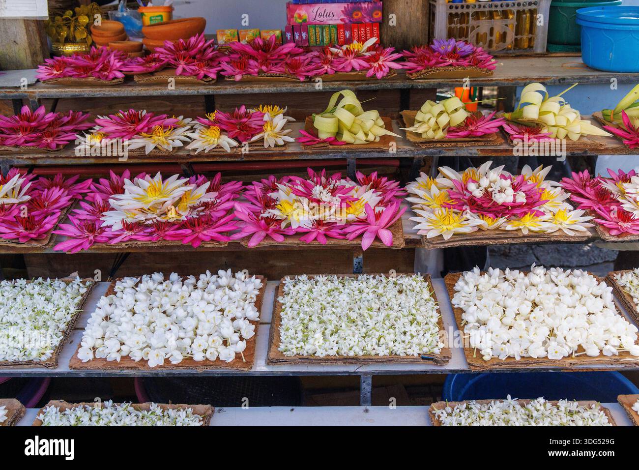Lotus- und Seerosenblüten zum Verkauf in der Nähe des Tempels des Heiligen Zahns (Sri Dalada Maligawa), Kandy, Sri Lanka Stockfoto