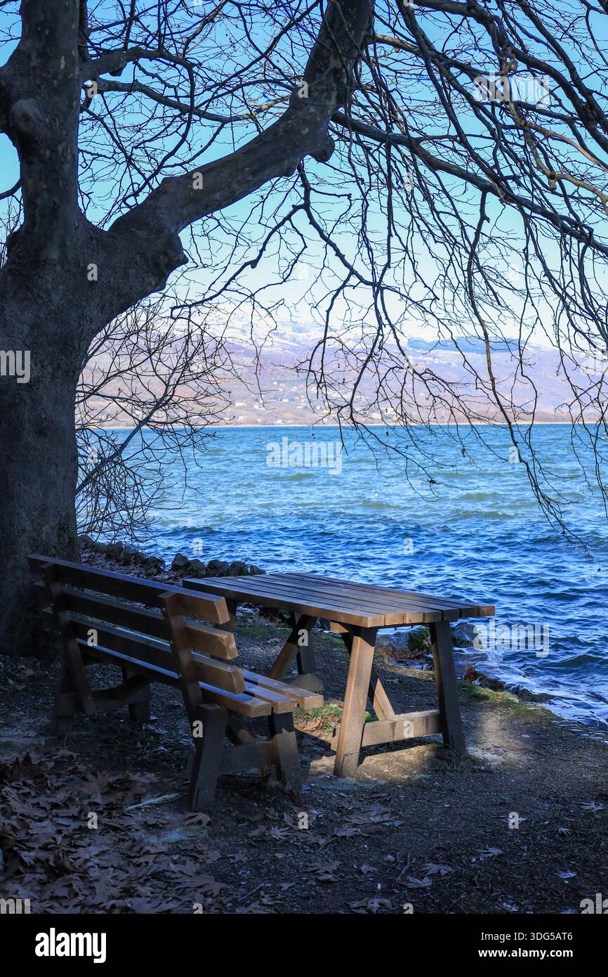Ruhige Seeszene mit rustikalen Möbeln unter winterlichen Zweigen, perfekt für Einsamkeit und Reflexion in der Natur. Stockfoto