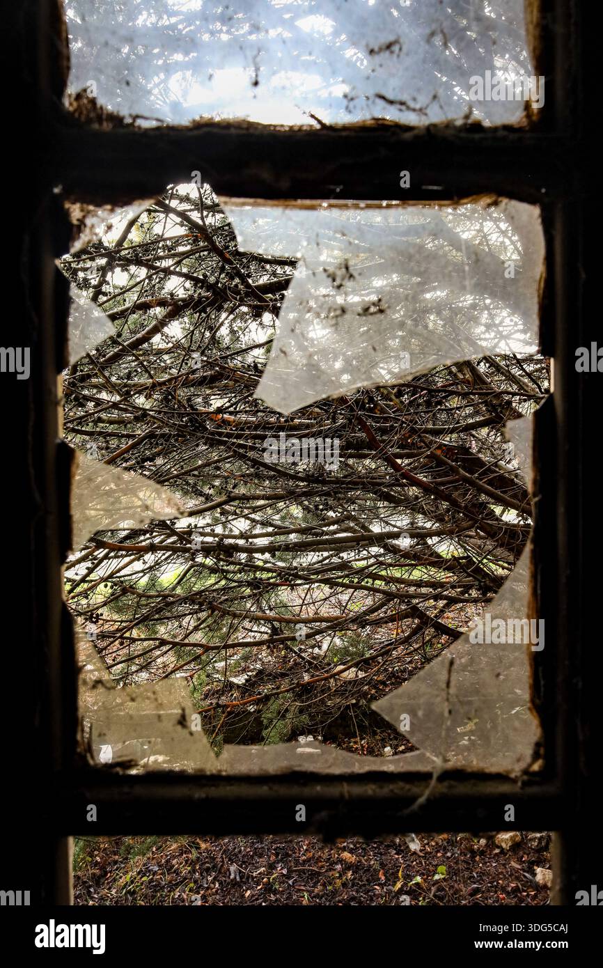 Durch zerbrochenes Glas kriecht die Außenwelt herein und symbolisiert den Lauf der Zeit und den stillen Zerfall. Stockfoto