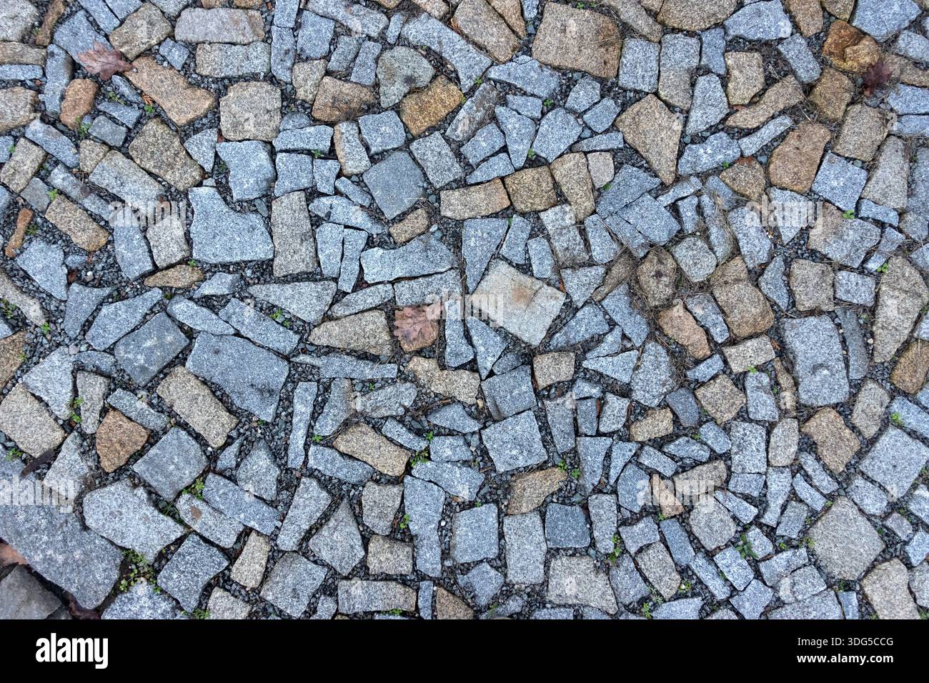 Gemusterter Pflastersteinpflaster mit gemischten Steintönen, fotografiert von oben als strukturierte urbane Bodenfläche Stockfoto