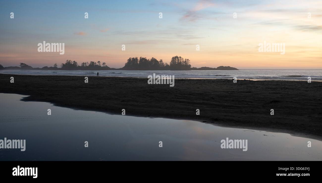 Ruhiger Strand bei Sonnenaufgang mit ruhigem Wasser und entfernter Silhouette von Bäumen am Horizont. Tofino, British Columbia, Kanada Stockfoto