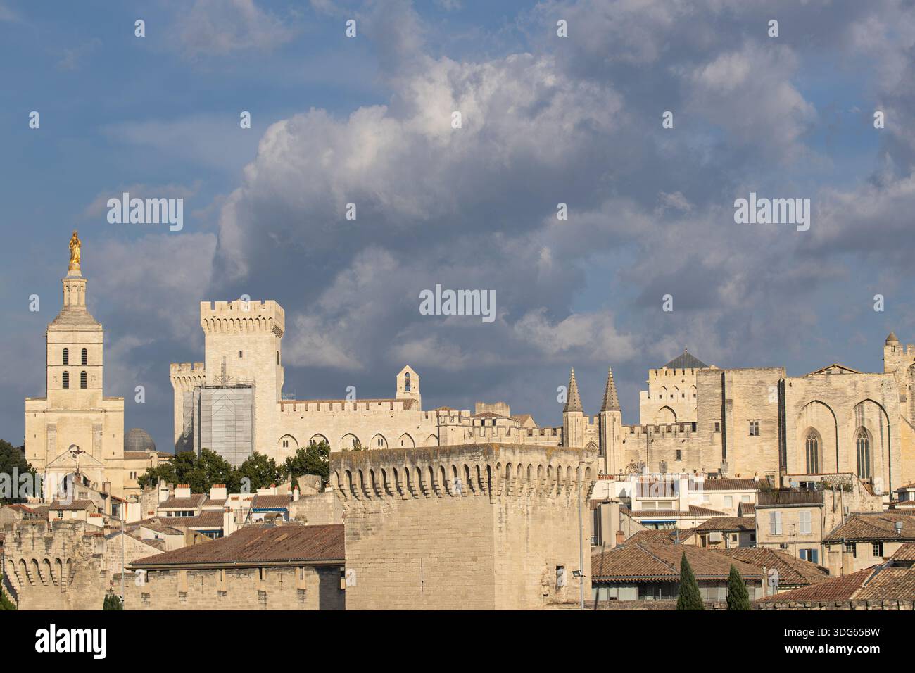 Historischer Panoramablick auf die Stadt Avignon Stockfoto