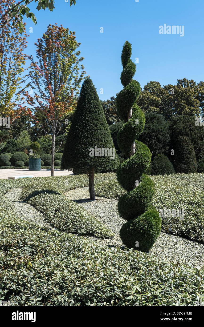 Ein wunderschön angelegter Garten verfügt über aufwändig geformte Sträucher mit Spiraldesign und Kegelform, umgeben von niedrigen Hecken mit einem Stockfoto