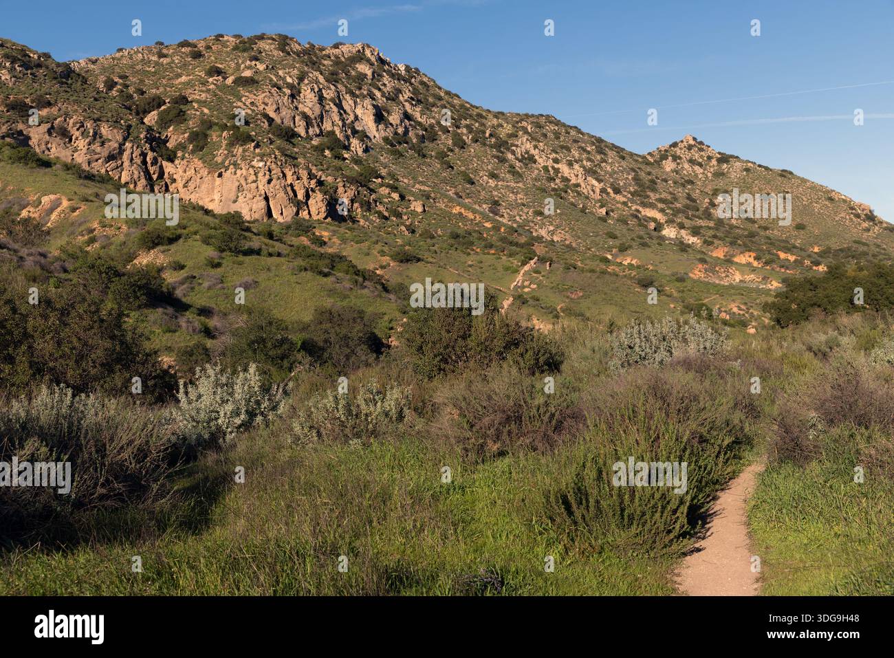 Der von Chaparral gesäumte Wanderweg schlängelt sich durch zerklüftete Hügel im El Scorpion Canyon Park in den Santa Susana Mountains, Kalifornien. Stockfoto