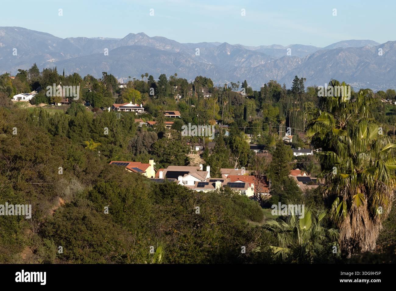 Wohnhäuser inmitten von Bäumen und Palmen mit den San Gabriel Mountains in der Ferne, vom El Scorpion Canyon Park, West Hills, Kalifornien. Stockfoto