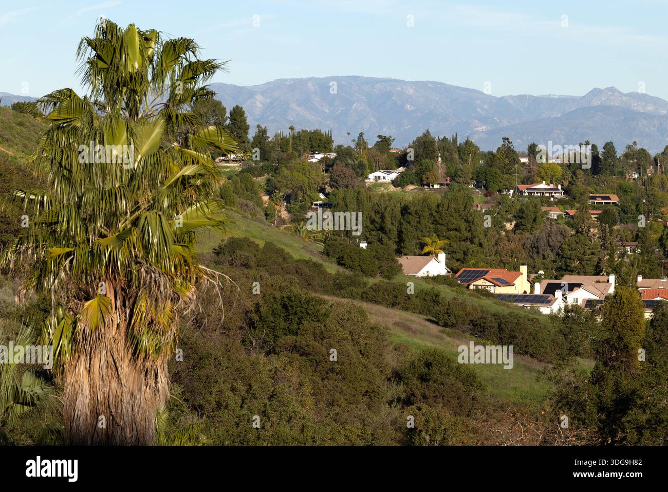 Häuser und Bäume auf sanften Hügeln in West Hills mit den San Gabriel Mountains in der Ferne, vom El Scorpion Canyon Park, Kalifornien aus gesehen. Stockfoto