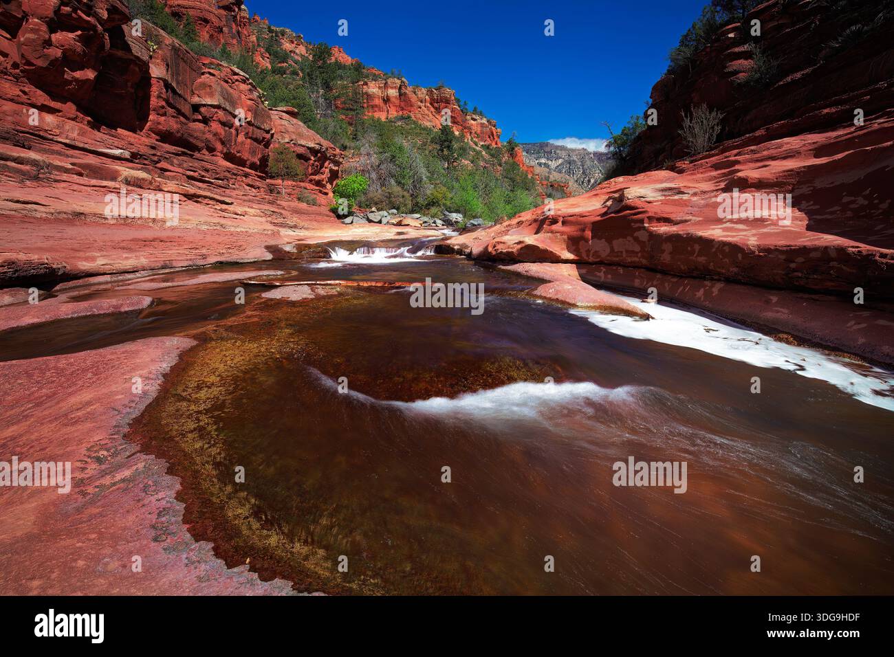 Slide Rock State Park in Sedona, Arizona, mit roten Sandsteinmauern und fließendem Oak Creek unter klarem blauem Himmel. Stockfoto