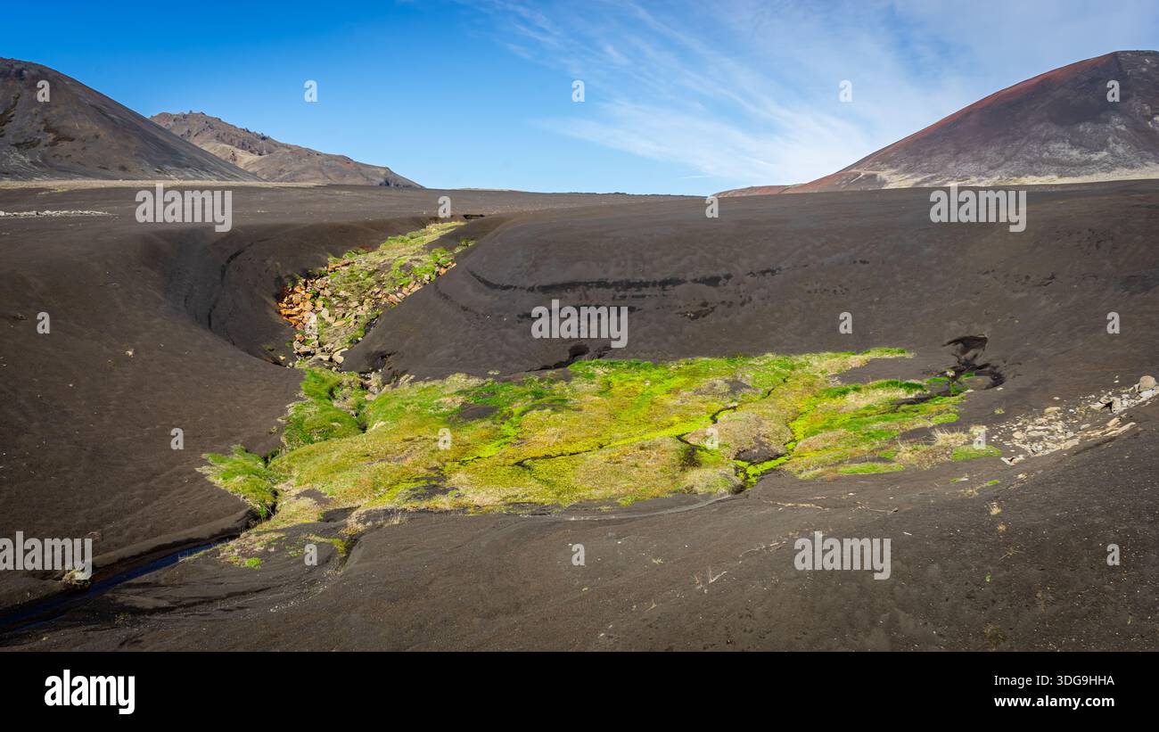 Island ist das Lieblingsland und die beliebtesten Menschen vieler Reisende. Atemberaubend zu jeder Jahreszeit mit einer faszinierenden Geologie. Stockfoto