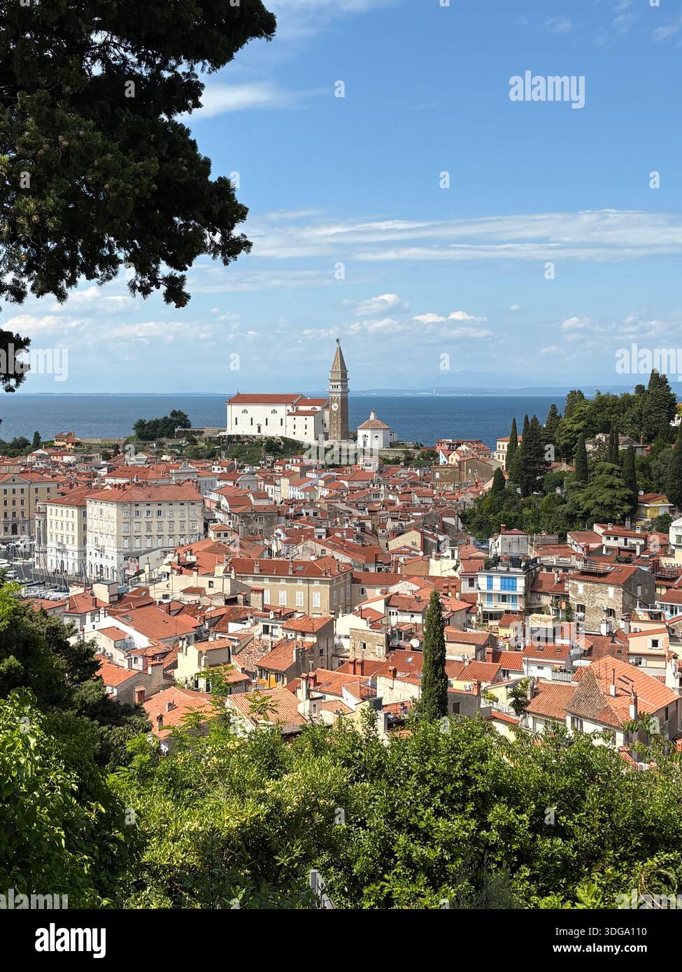 Panoramablick auf Piran, Slowenien, mit roten Dächern, Kirchturm und üppiger Küstenlandschaft - Smartphone-aufgenommenes Stockfoto