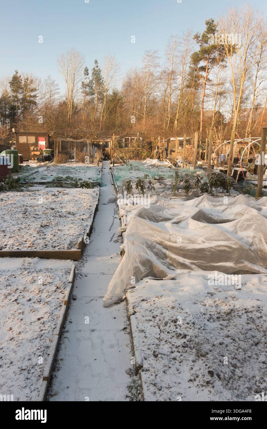Winterblick auf einen Kleingarten, England, Großbritannien Stockfoto