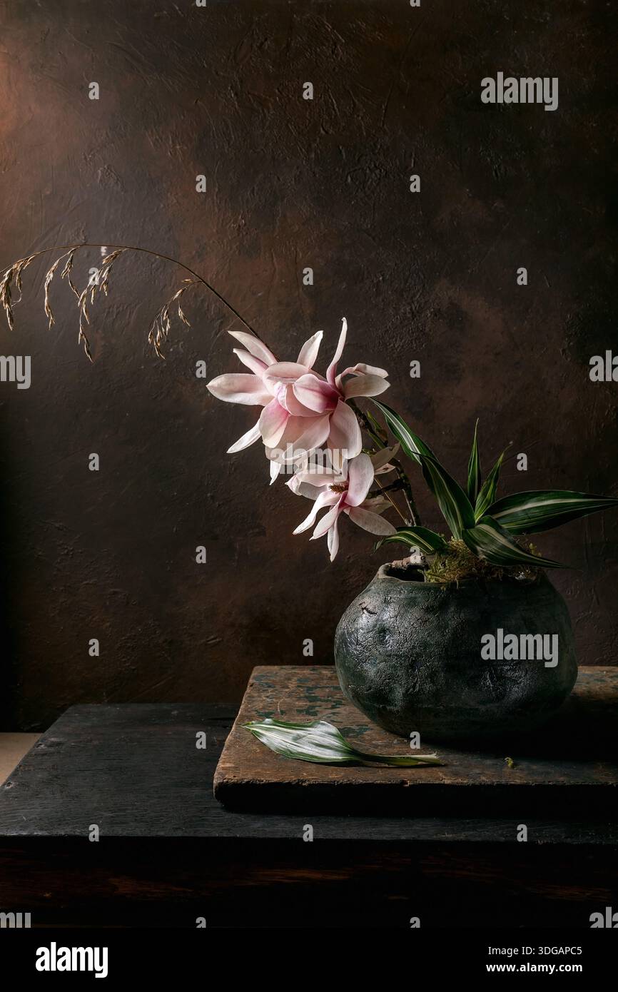 Schöne rosa Magnolienblüten Ikebana in runder dunkler Keramikvase auf Holzoberfläche. Moody dunkler Hintergrund Stillleben Komposition künstlerische Blumenarr Stockfoto