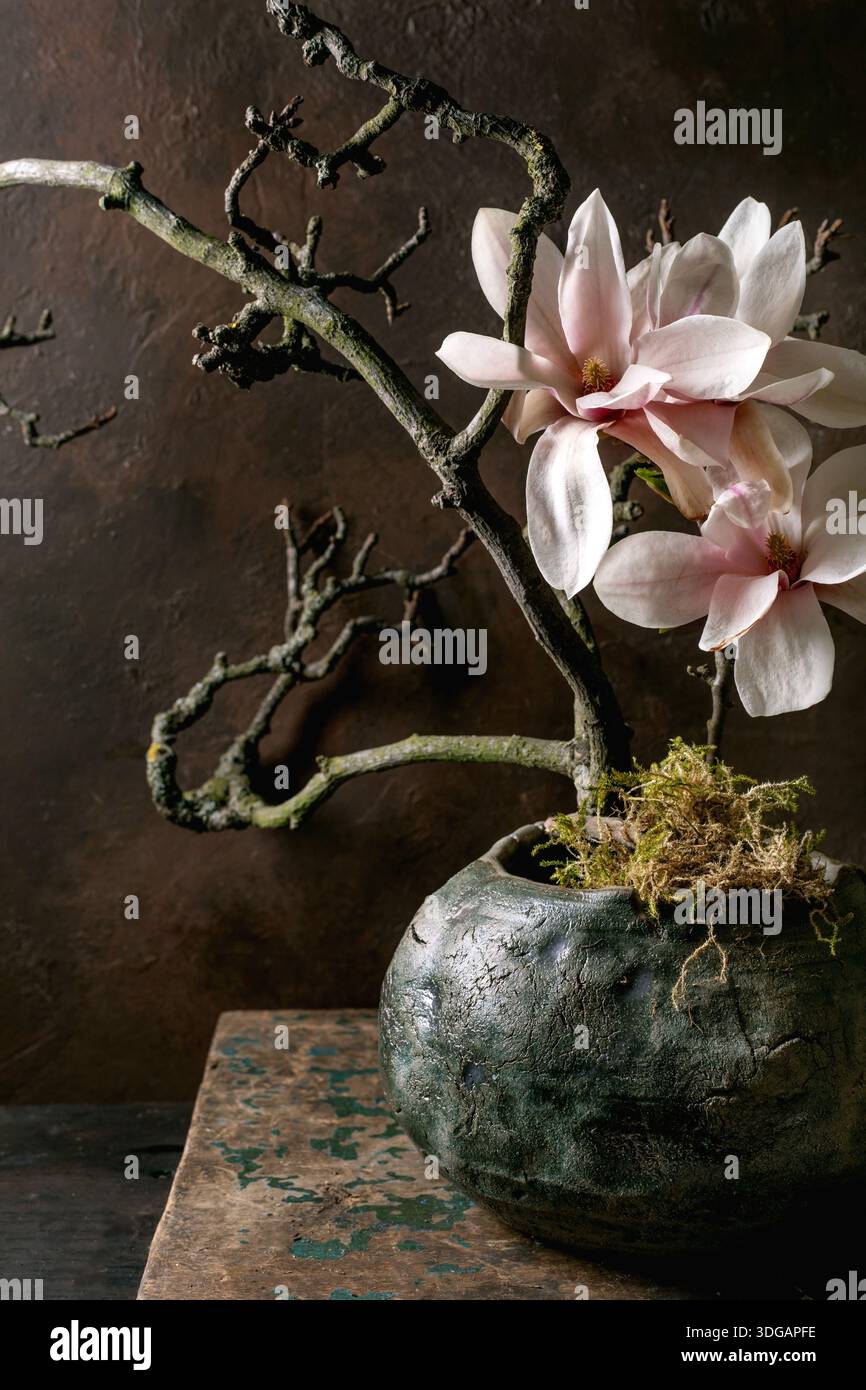 Wunderschne Magnolienblten auf Ikebana in rustikaler Keramikvase. Zarte  rosafarbene Bltenbltter stehen im Kontrast zu dunkelgrnem Moos und  strukturiertem B Stockfotografie - Alamy