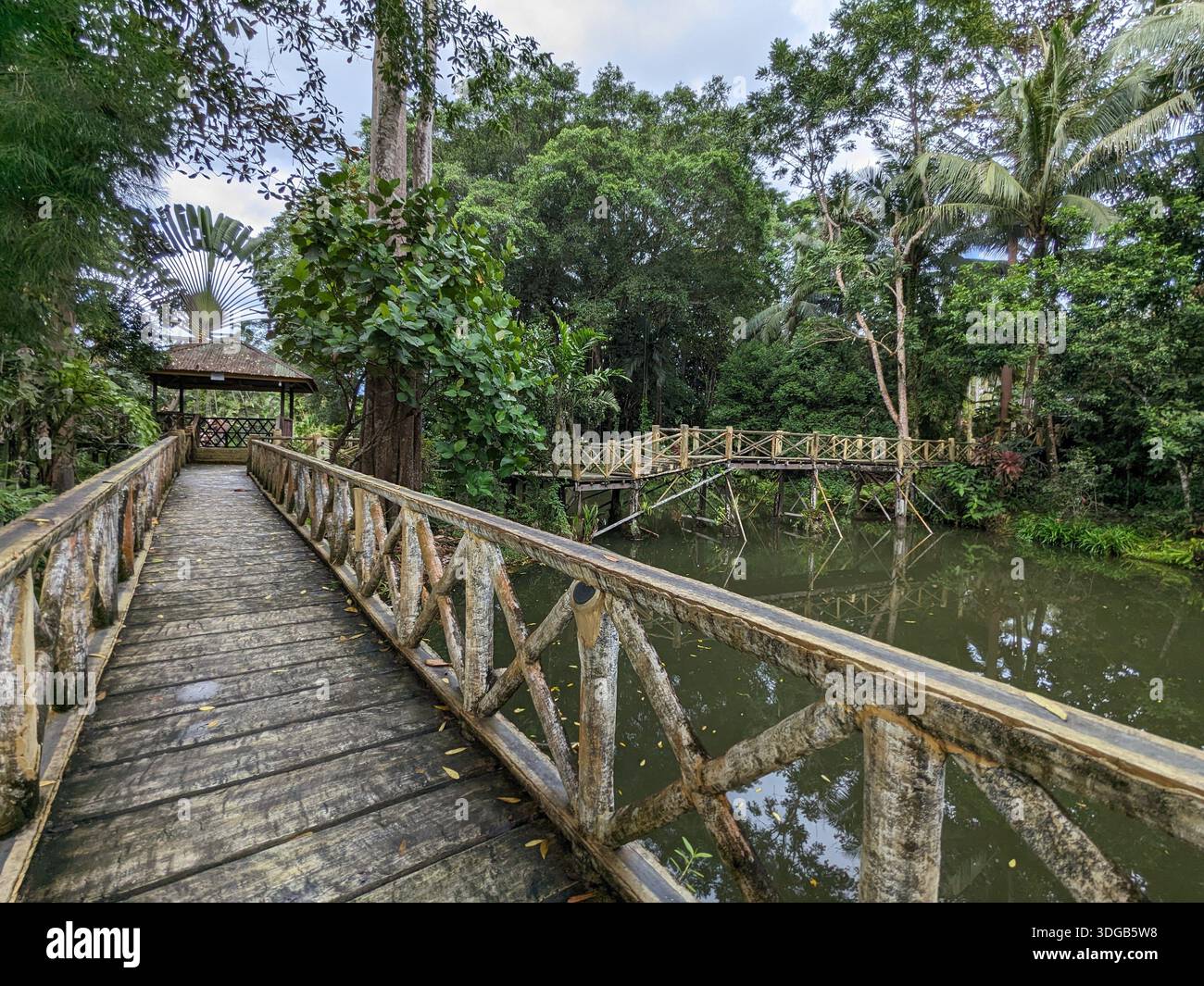 Sandakan, Sabah, Malaysia - 30. Dezember 2025: Üppiger tropischer Regenwald-See mit Spiegelreflektion von Bäumen und Himmel Stockfoto