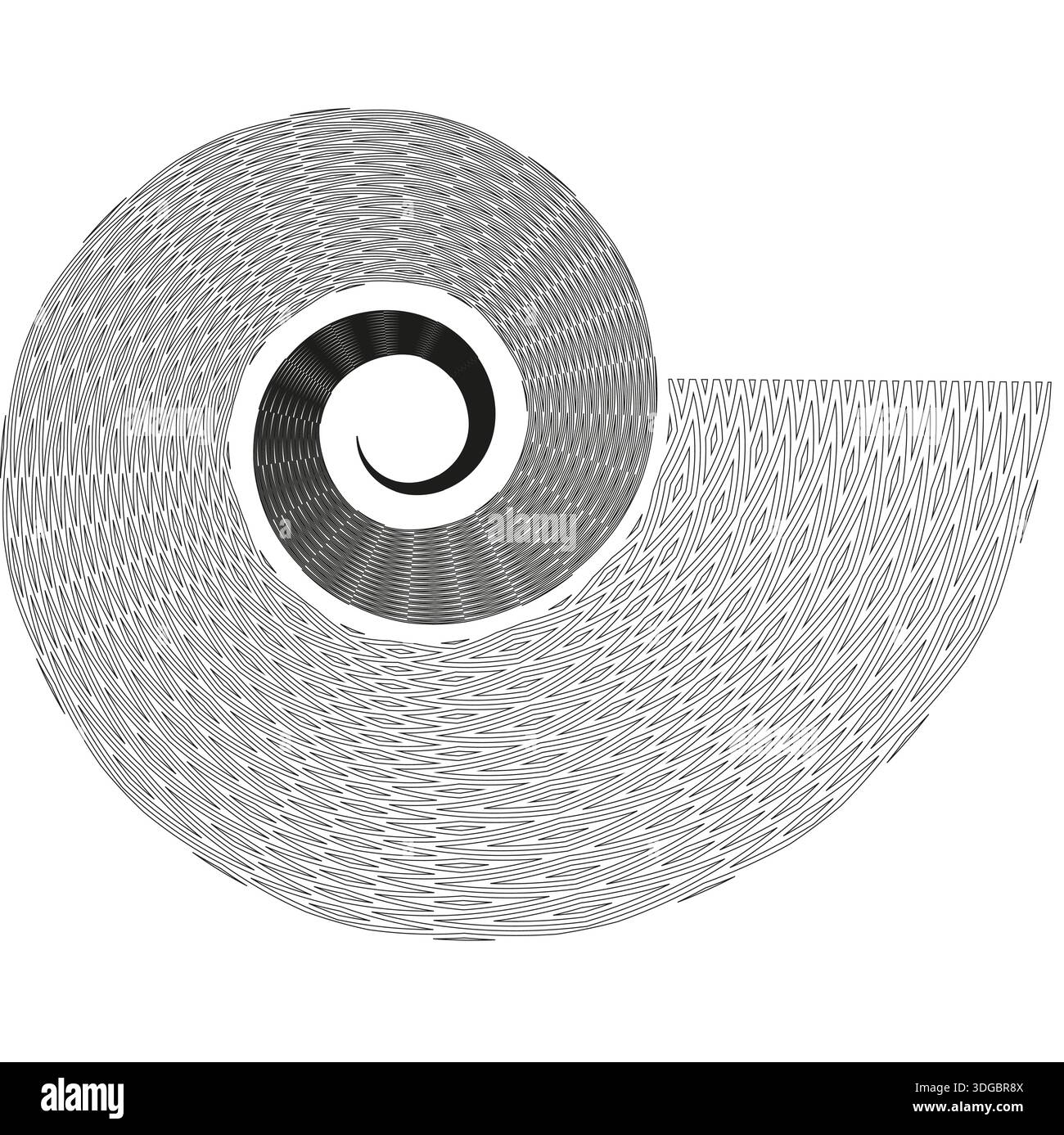 Symbol für spiralförmige Schale. Wireframe Schneckenvektor. Nautilus Line Art. Abstrakte Kurvenform. EPS 10. Stock Vektor