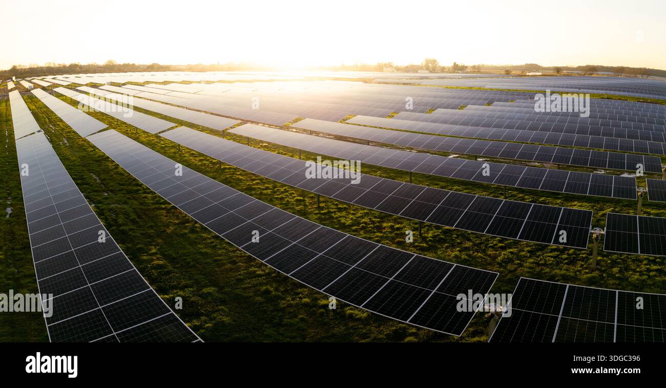Luftpanorama aus Reihen von Photovoltaik-Solarpaneelen, die saubere und erneuerbare Energie auf landwirtschaftlichen Nutzflächen mit Sonnenuntergang und Kopien erzeugen Stockfoto