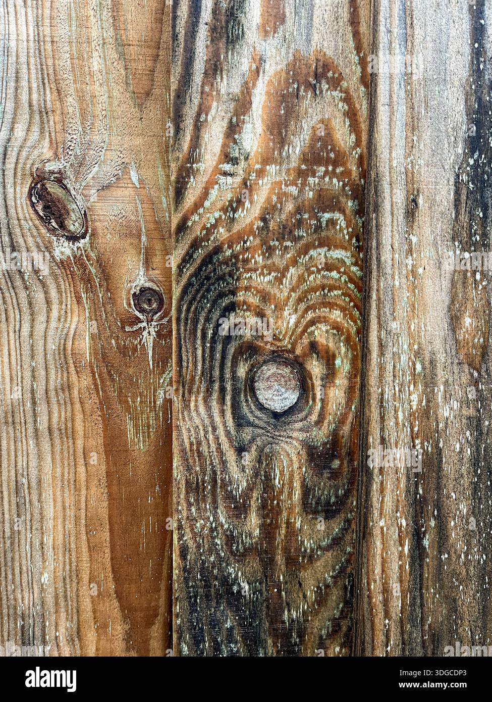 Natürliche Holzkörner und Knoten in verwitterter Holzzaunstruktur. Holzmuster - Smartphone-aufgenommenes Stockfoto