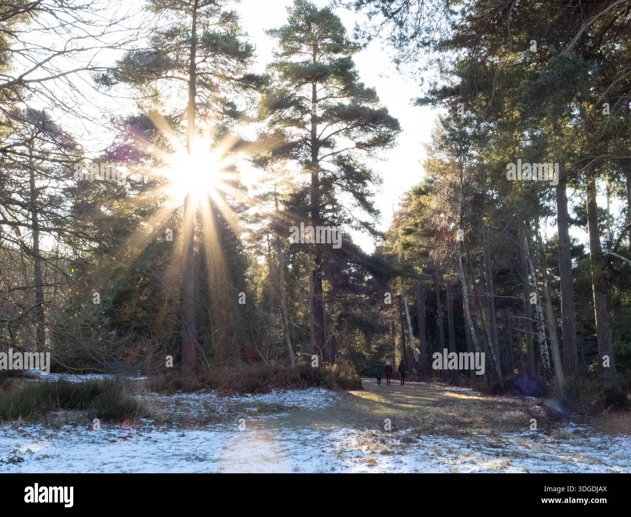 Familienspaziergang im Winter durch die Landschaft von Kent mit niedriger Sonne am Himmel durch die Bäume. Stockfoto