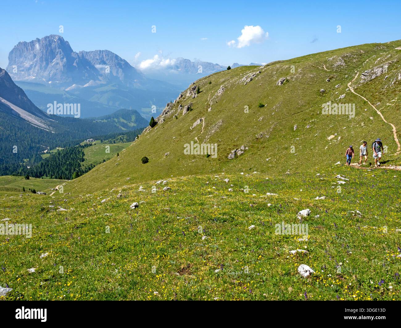 Wanderer im Naturpark Puez-Geisler mit Blick über Gröden bis zum Langkofel Stockfoto