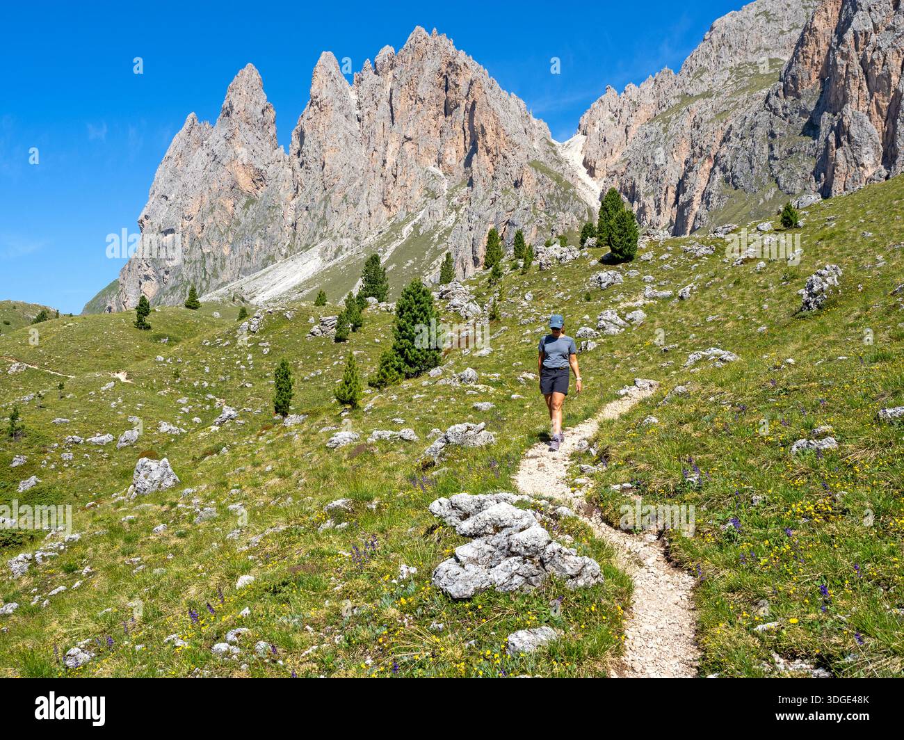 Eine Frau, die durch eine Wiese unterhalb des Geißelgebirges in den Dolomiten wandert Stockfoto