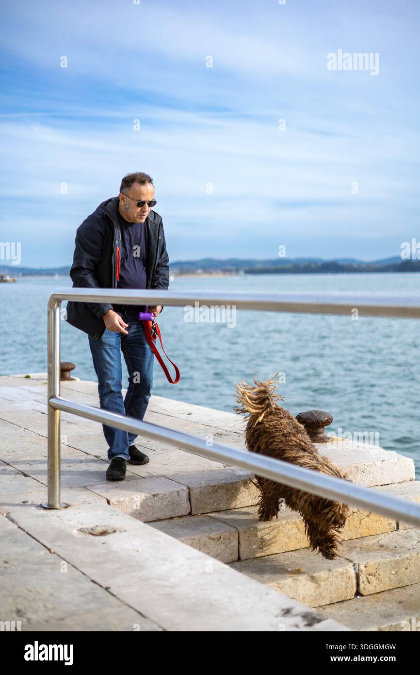 Santander, Spanien – 19. November 2021: Ein Mann wandert mit seinem spanischen Wasserhund (Perro de Agua Espanol), einer Rasse, die für ihr unverwechselbares schnurgebundenes Fell bekannt ist, entlang des W Stockfoto
