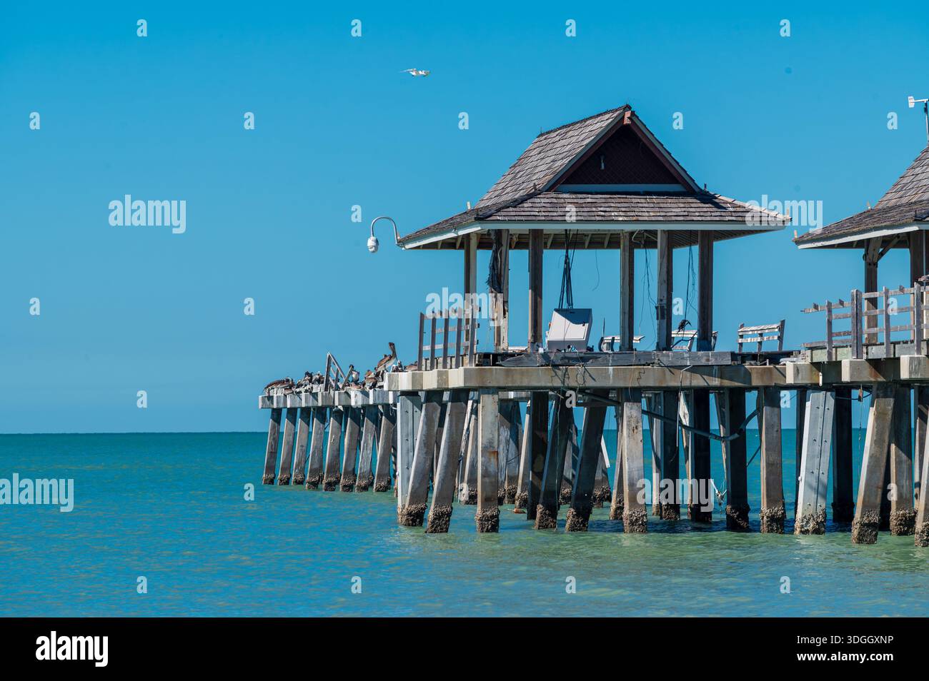 Der alte Pier von Fort Myers an einem sonnigen Tag, Florida Stockfoto