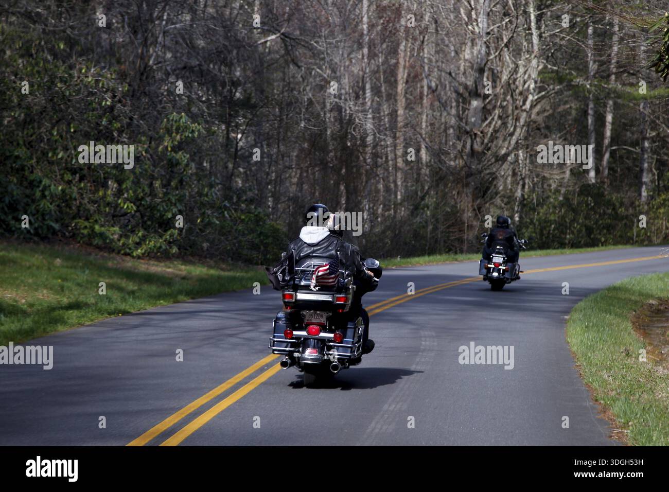 Motorradfahrer fahren auf einer kurvenreichen Straße durch bewaldete Gebiete, den Blue Ridge Parkway, USA Stockfoto