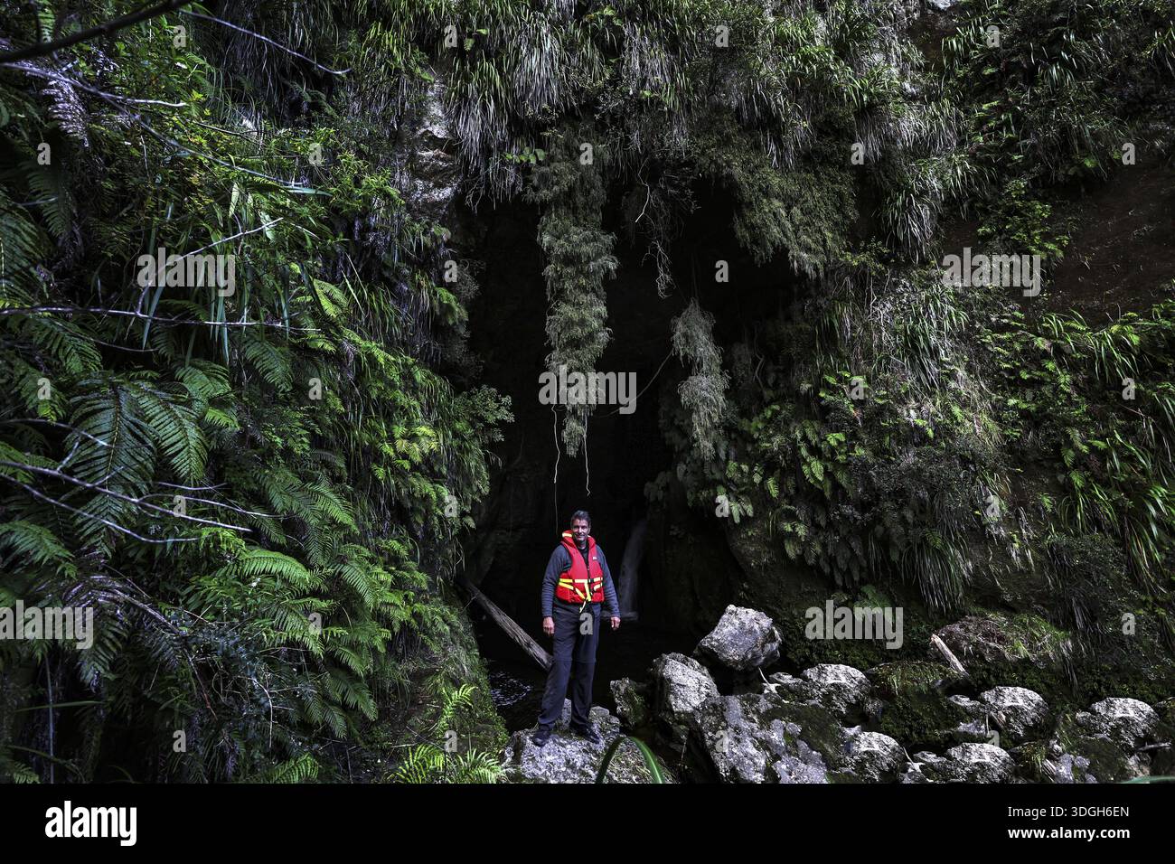 Eine Person in einer Höhle im grünen, moosbedeckten Wald in der Nähe des Whanganui River auf einer Kanutour, Null Stockfoto