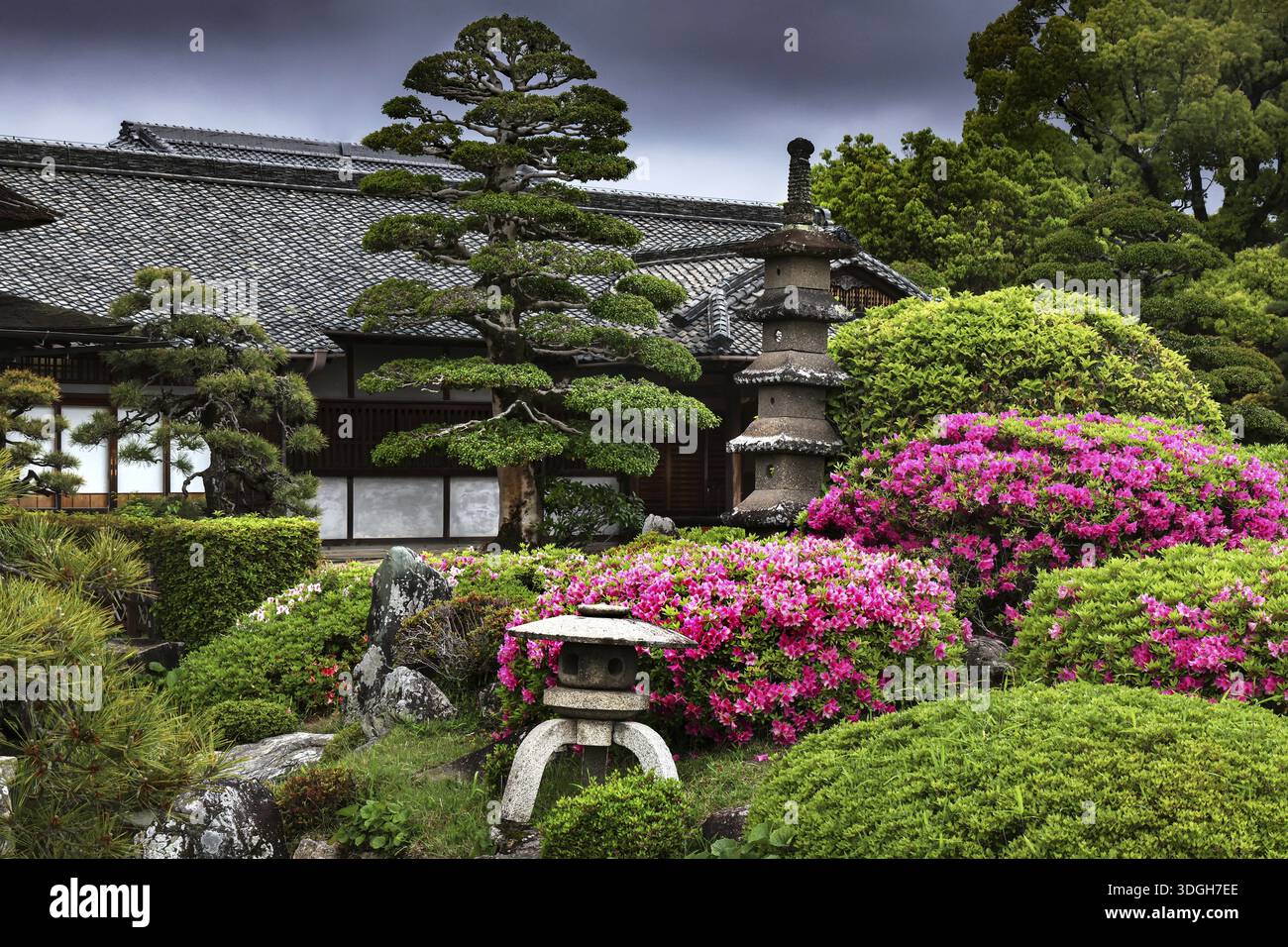 Traditioneller japanischer Garten mit Pagode, Teehaus und blühenden Sträuchern, Okayama, Okayama, Japan Stockfoto