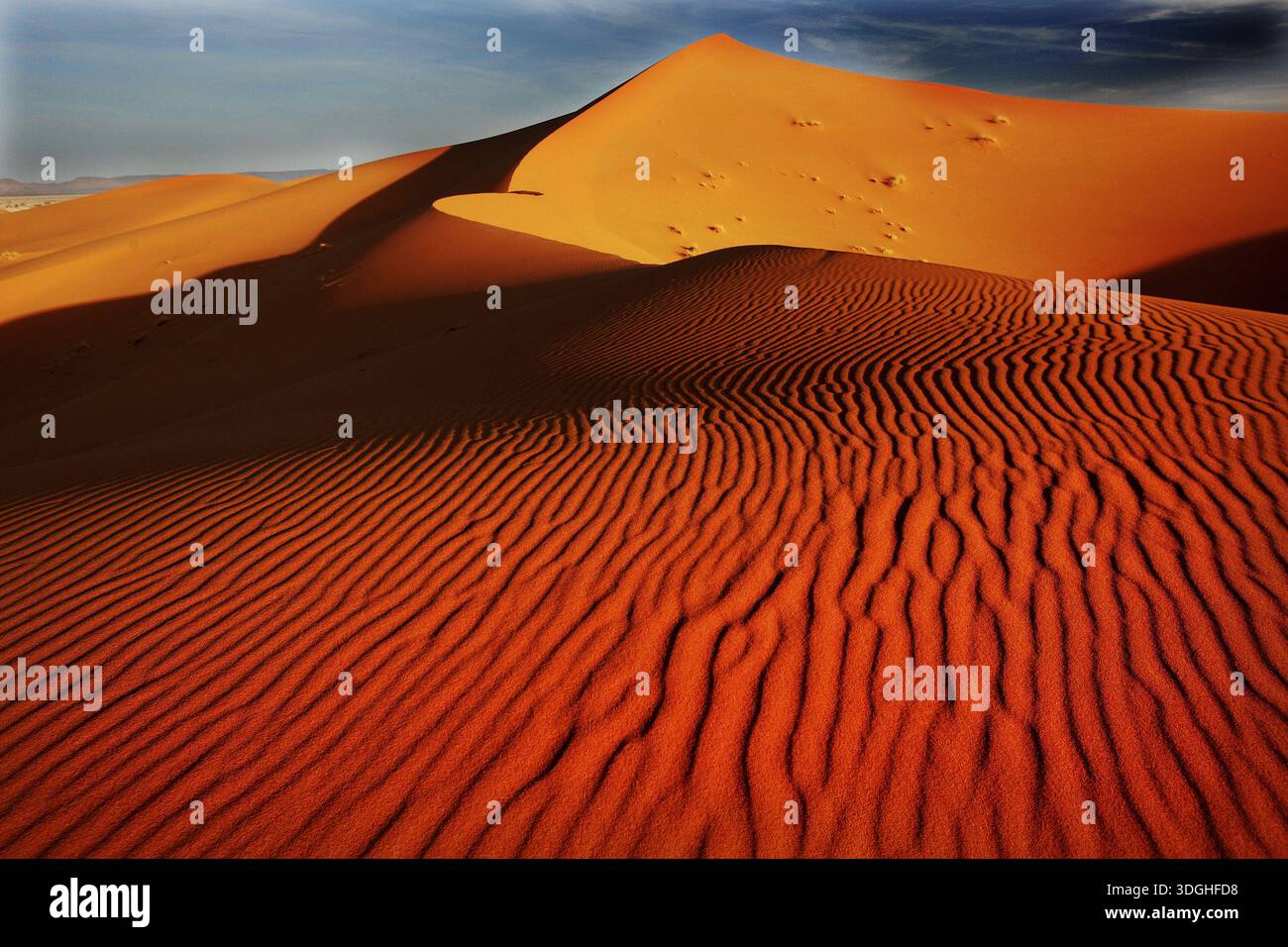 Windgeformte Wellenmuster in den Sanddünen des beeindruckenden Erg Chebbi, Erg Chebbi, Marokko Stockfoto