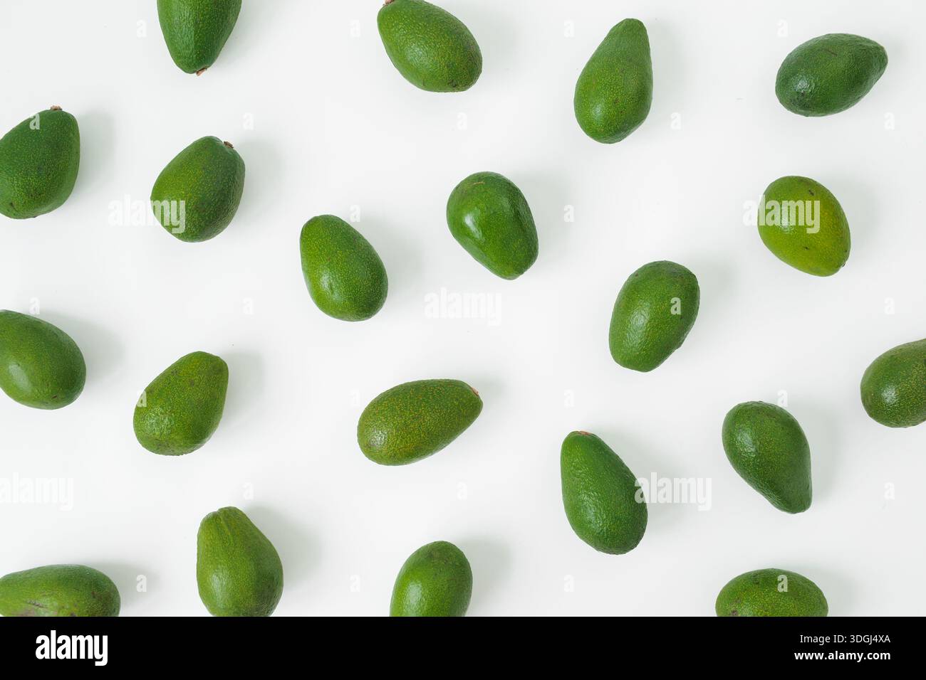 Frisches grünes Avocados-Muster auf weißem Hintergrund, gesundes Lebensmittelkonzept, minimale flache Zusammensetzung. Stockfoto