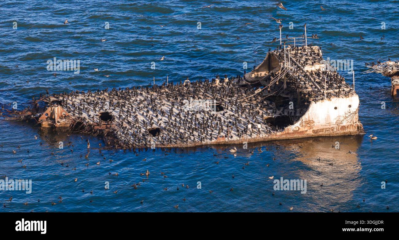 Teilweise versunkenes SS Palo Alto Schiffswrack am Seacliff State Beach Stockfoto