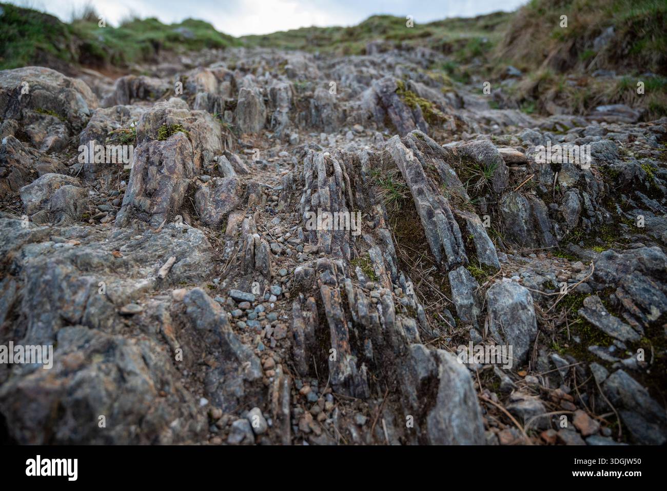 Eine detaillierte Aufnahme gezackter, vertikaler Felsschichten und strukturierter Steinschichten auf einem Bergwanderweg auf Ben Lomond in Schottland. Stockfoto