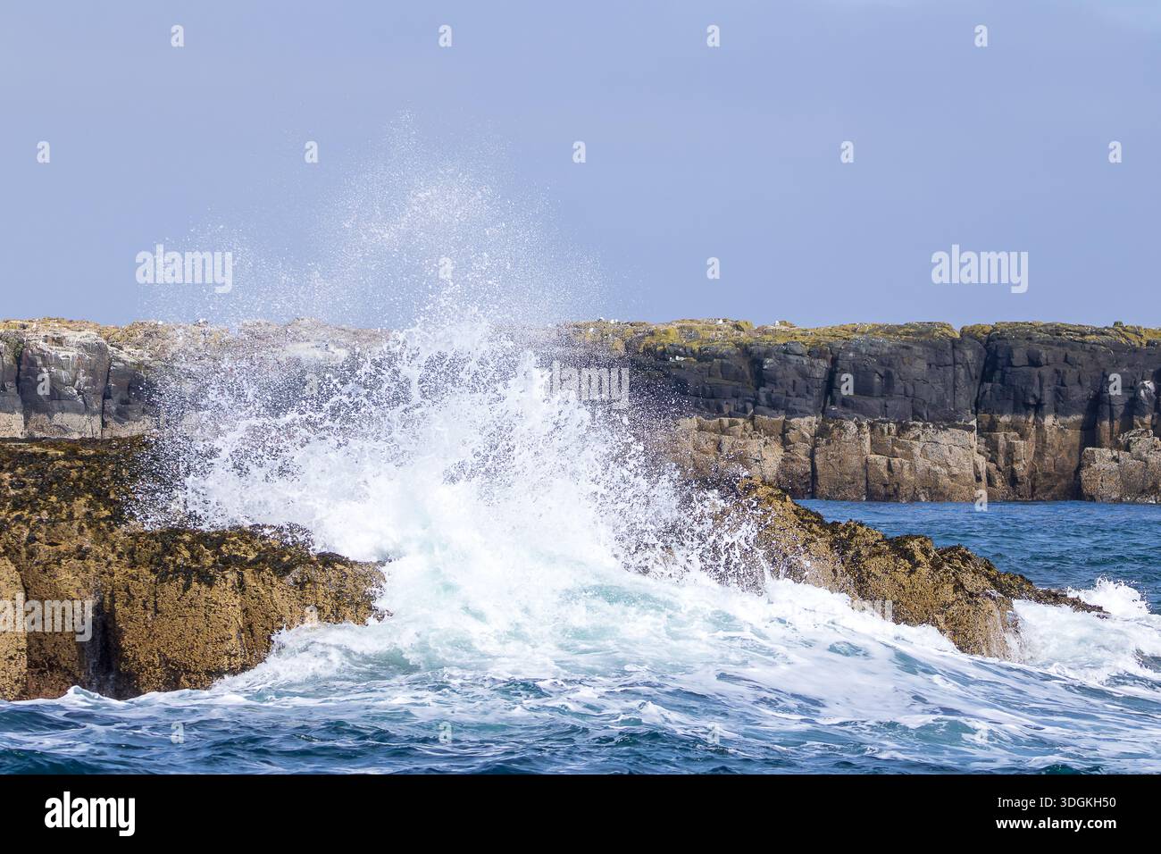 Mächtige Meereswellen krachen unter einem klaren blauen Himmel gegen zerklüftete Küstenklippen. Stockfoto