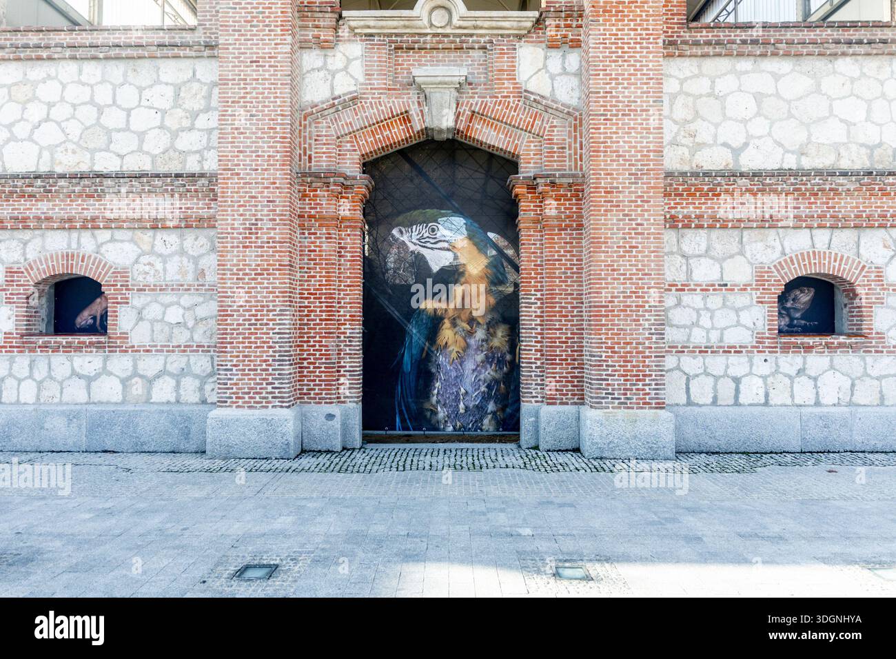 Photographic exhibition 'The Animals' by Estela de Castro, at Matadero de Madrid, on 18 January 2026, in Madrid (Spain). The artist Estela de Castro has spent two years portraying animals in sanctuaries and rescue, protection and care centres, with the intention of highlighting the value of each specific life story, often marked by exploitation, abandonment or experimentation. 18 JANUARY 2026 PHOTO EXHIBITION;ANIMALS Ricardo Rubio / Europa Press 01/18/2026 (Europa Press via AP) Stockfoto