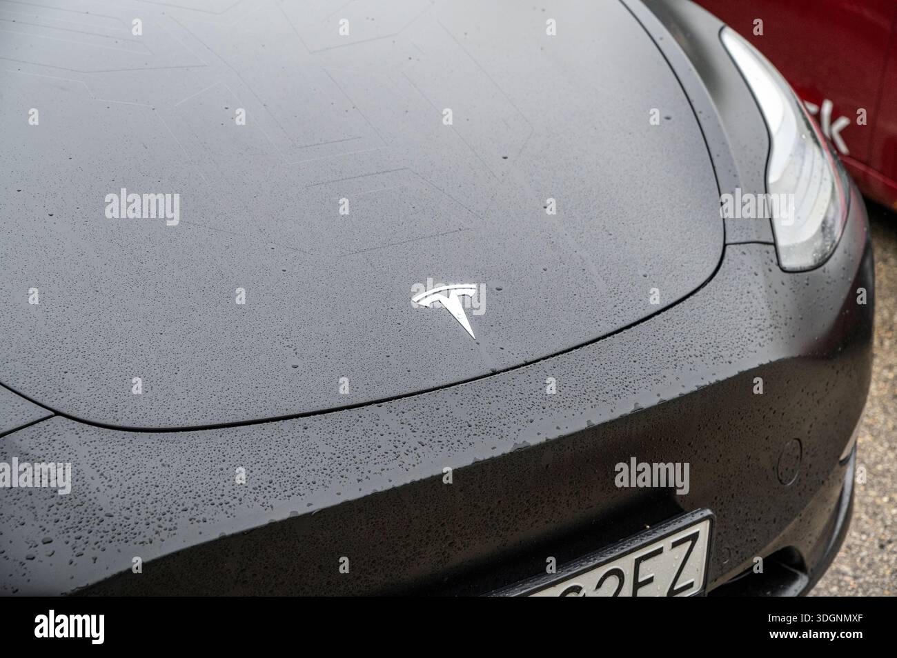 Nitra, Slowakei - 4. Oktober 2024 - Tesla-Logo auf der Motorhaube eines modernen Tesla-Autos Stockfoto