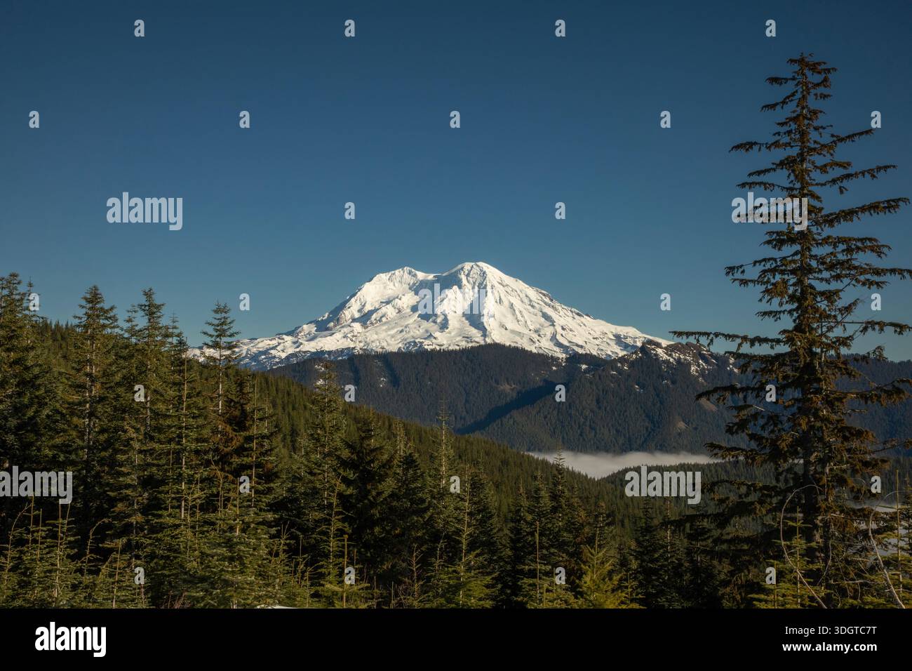 WA29062-00 - Mount Rainier vom Weg zu Brunis Snow Bowl Hut an einem klaren Wintertag. Stockfoto