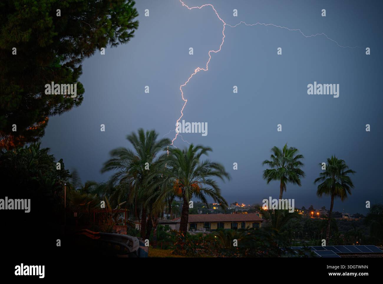 Ein heller Blitz streift über den Himmel über einer Palme. Die Szene spielt in einem Wohngebiet mit ein paar Autos, die in der Nähe geparkt sind. Szene ist dramatisch Stockfoto