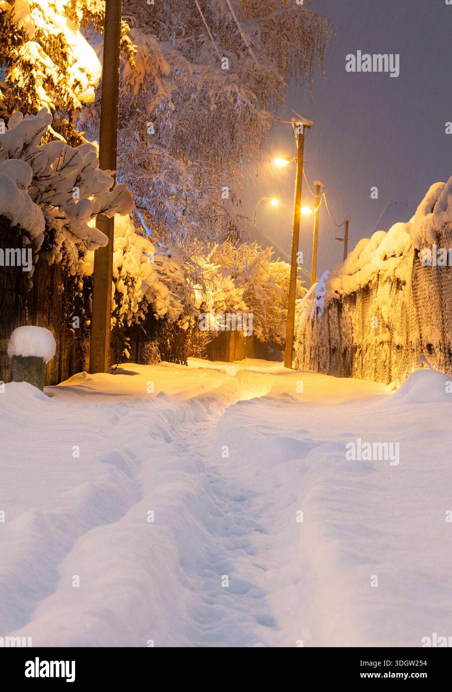 Eine schmale Straße, die mit Schnee bedeckt ist. Die Menschen haben mit ihren Füßen einen Weg im Schnee gemacht. Nachtblick. Stockfoto
