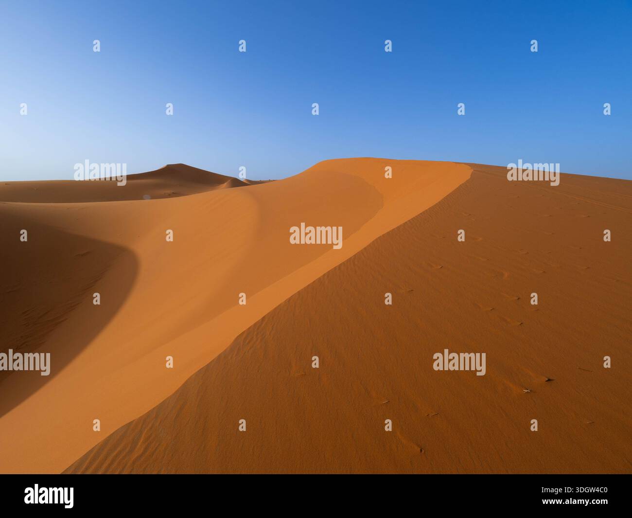 Minimalistischer Blick auf unberührte orange Sanddünen mit glatten Kurven und windgeformten Wellen unter einem riesigen klaren blauen Himmel in der Region Erg Chebbi der Stockfoto