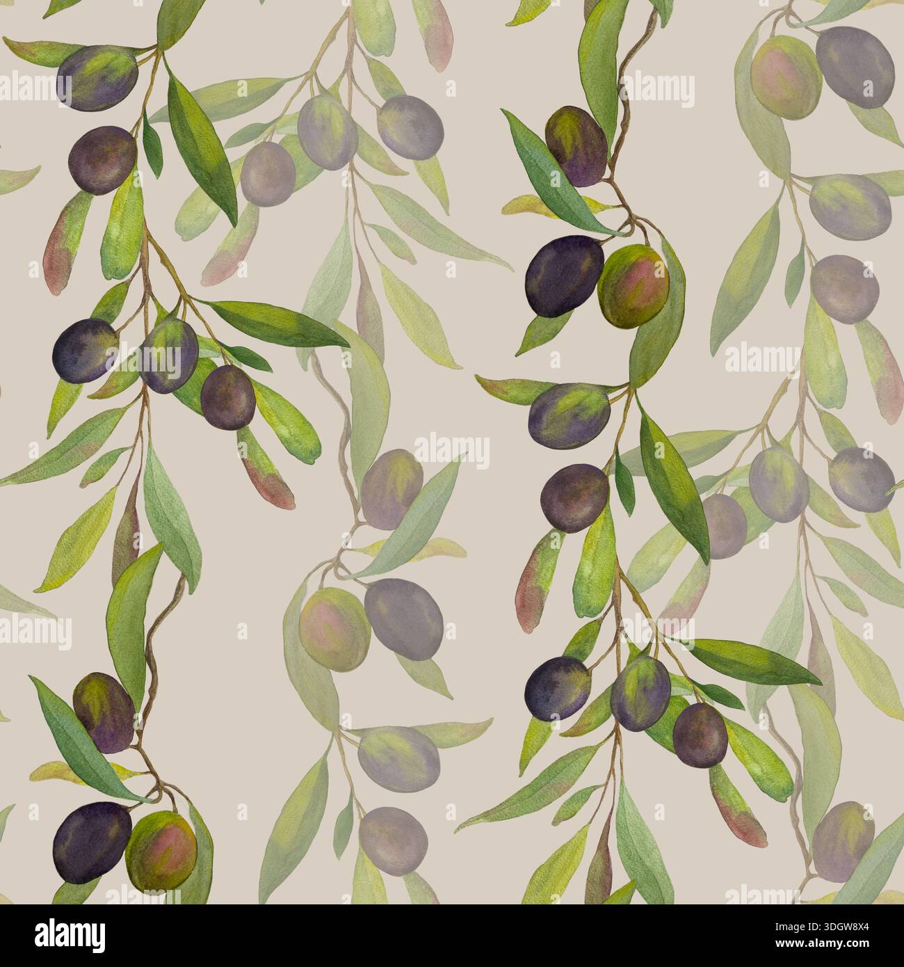 Nahtloses Aquarellmuster mit Olivenzweigen mit grünen und schwarzen Oliven auf hellem Hintergrund. Handgemalte botanische Illustration inspiriert b Stockfoto