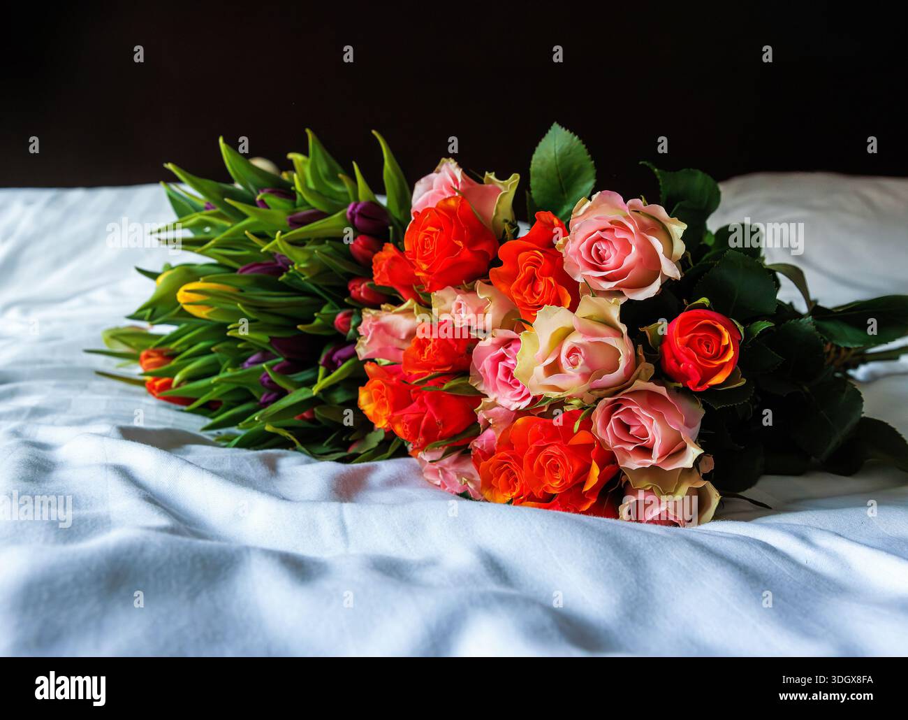 Romantischer Blumenstrauß aus Rosen und Tulpen, der auf einer Bettdecke in einem Schlafzimmer liegt, mit dunklem schwarzem Hintergrund. Stockfoto