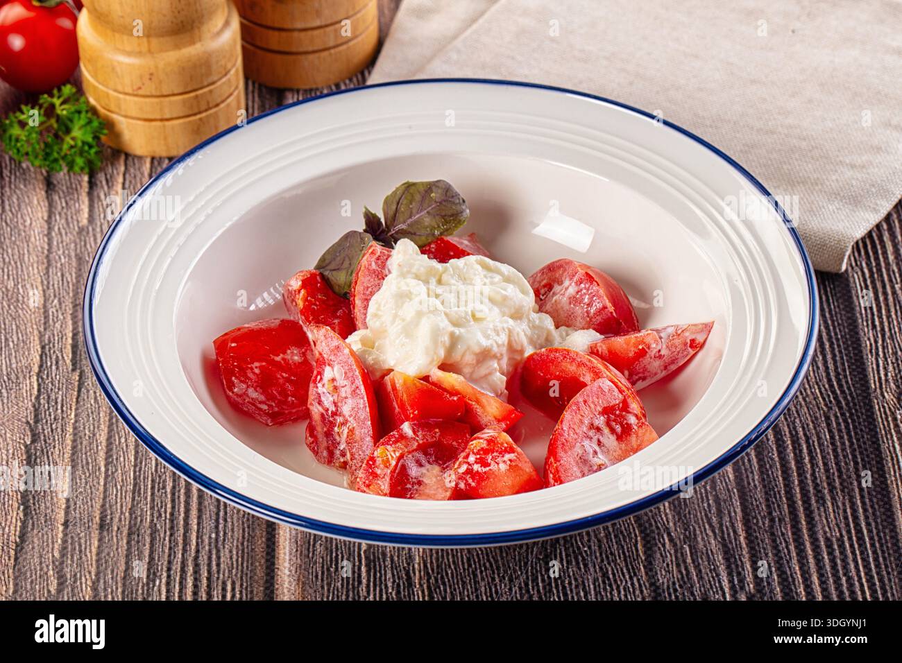 Salat mit Stracciatella-Käse und Tomaten Stockfoto