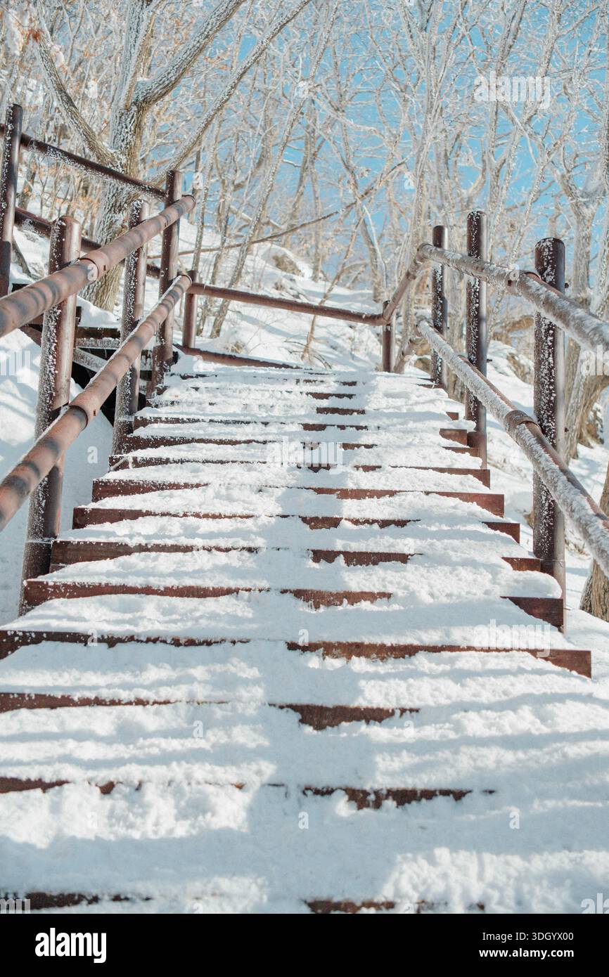 Schneebedeckte Holztreppen führen durch eine ruhige Winterlandschaft auf dem Mount Gyebangsan, Südkorea, und schaffen starke Perspektiven Stockfoto
