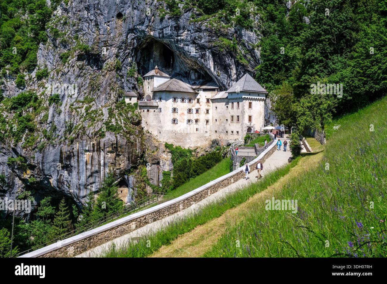 Predjama Castle wurde in eine Höhlenmündung gebaut, mit Besuchern auf einem gepflasterten Weg und einem grasbewachsenen Hang. Stockfoto
