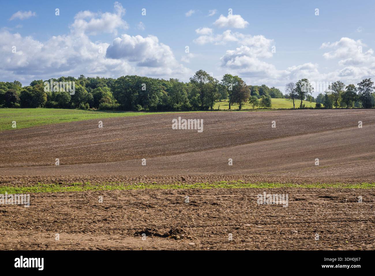 Blick auf die gepflügten Felder in der Nähe von Ornowo, einem kleinen Dorf in der Nähe der Stadt Ostroda in Polen Stockfoto